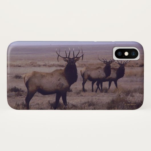 Coques Case-Mate iPhone Élan mâle E19 Double Drop Tines (Dos (Horizontal))