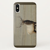 Coques Case-Mate iPhone Élan mâle E46 (Dos)