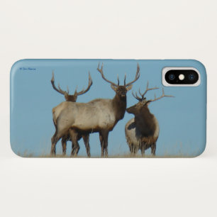 Case-Mate iPhone Case Élan mâle E60 sur fond de ciel