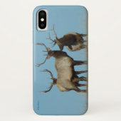 Coques Case-Mate iPhone Élan mâle E60 sur fond de ciel (Dos)