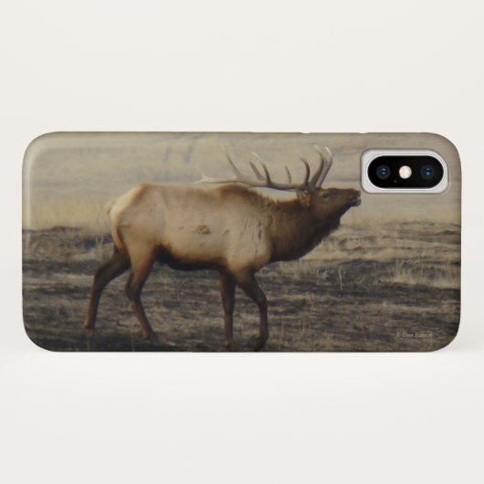 Coques Case-Mate iPhone Élans Bugling d'E40 Taureau (Dos (Horizontal))