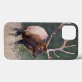 Coques Case-Mate iPhone Élans de montagne rocheuse (Verso (horizontal))