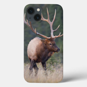 Case-Mate iPhone Case Élans de montagne rocheuse