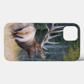 Coques Case-Mate iPhone Élans de montagne rocheuse de Taureau (Verso (horizontal))