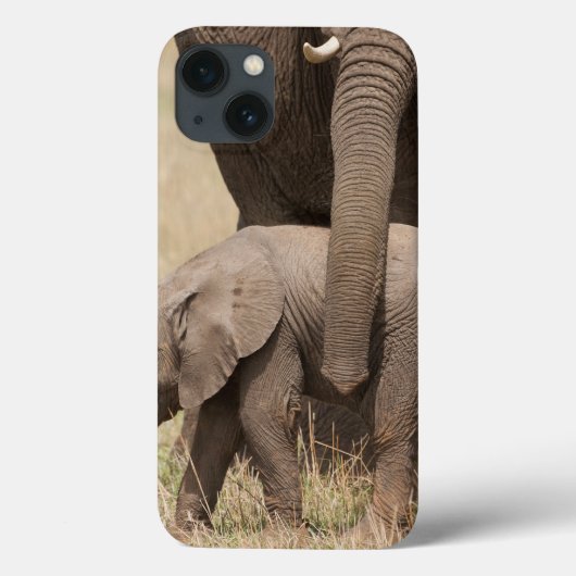 Coques Case-Mate iPhone Eléphant africain avec mère (Verso)