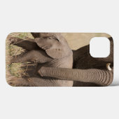Coques Case-Mate iPhone Eléphant africain avec mère (Verso (horizontal))