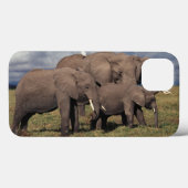 Coques Case-Mate iPhone Éléphant africain de bébé avec la famille (Verso (horizontal))