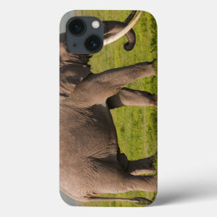 Etui iPhone 13 Éléphant africain, région de conservation de