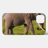Coques Case-Mate iPhone Éléphant africain, région de conservation de (Verso (horizontal))