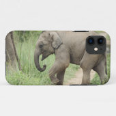 Coques Case-Mate iPhone Éléphant bébé suivant sa mère, Corbett (Dos (Horizontal))