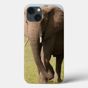 Etui iPhone Case-Mate Éléphant d'Afrique (Loxodonta Africana), Maasai
