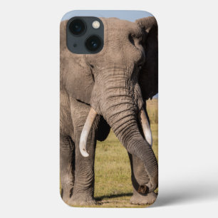 iPhone 13 Case Éléphant dans une pose agressive