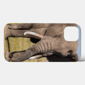 Coques Case-Mate iPhone Éléphant dans une pose agressive (Verso (horizontal))