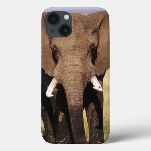 Coques Case-Mate iPhone Eléphant de Bush en Afrique (Verso)