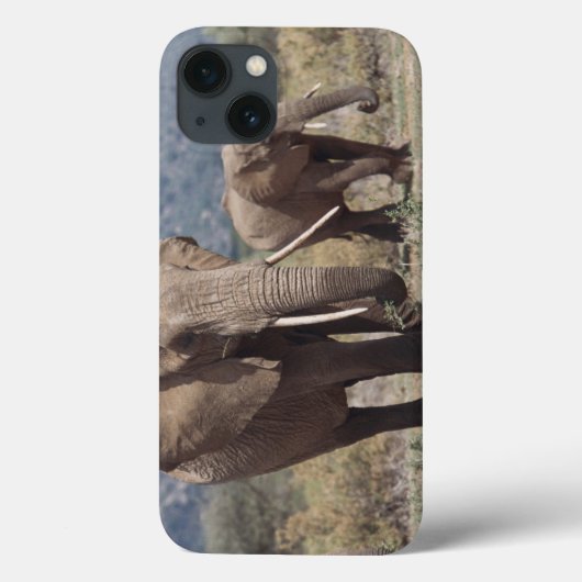 Coques Case-Mate iPhone Éléphant de mère marchant avec le veau d'éléphant (Verso)