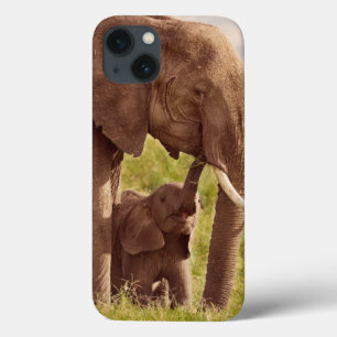 iPhone 13 Case Éléphant et bébé des images de Getty