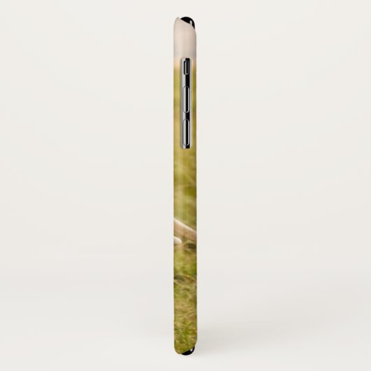 Coques Case-Mate iPhone Éléphant et bébé des images | de Getty (Dos/Gauche)