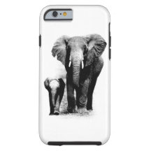 Eléphants