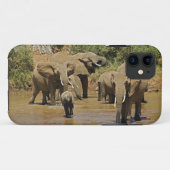 Coques Case-Mate iPhone Eléphants africains, Loxodonta Africana, Samburu (Dos (Horizontal))