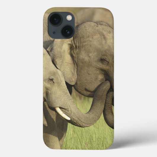Coques Case-Mate iPhone Éléphants asiatiques indiens (Verso)