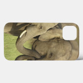 Coques Case-Mate iPhone Éléphants asiatiques indiens (Verso (horizontal))