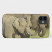 Coques Case-Mate iPhone Éléphants asiatiques indiens (Dos (Horizontal))