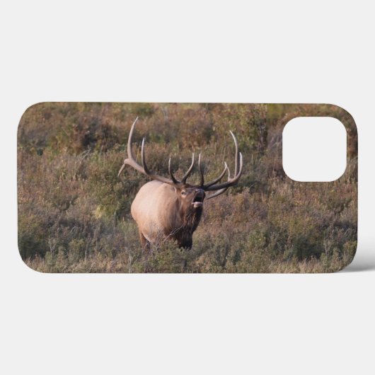 Coques Case-Mate iPhone Elk bourrant (Verso (horizontal))