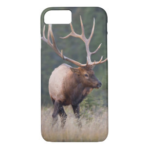 Coques Pour iPhone Elk de montagne Rocky