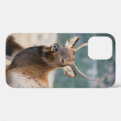 COQUES Case-Mate iPhone ELK IN ROCKY MOUNTAIN NATIONAL PARK - ELK HERDS GR (Verso (horizontal))