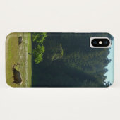 Coques Case-Mate iPhone Elk Meadow at Redwood National Park (Dos (Horizontal))