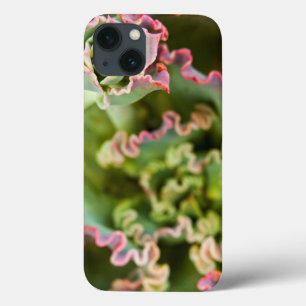 Etui iPhone Case-Mate Emerging bud of an Echeveria Plant