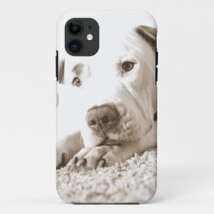 Case-Mate iPhone Case endormi pitbull blanc amical haine acte pas race