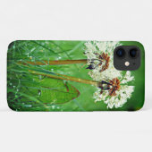 Coques Case-Mate iPhone Ensemble. Toujours deux Dandelions avec gouttes de (Dos (Horizontal))