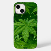 Coques Case-Mate iPhone Érable au printemps (Verso)