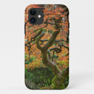 Coques Pour iPhone Érable aux jardins japonais en automne