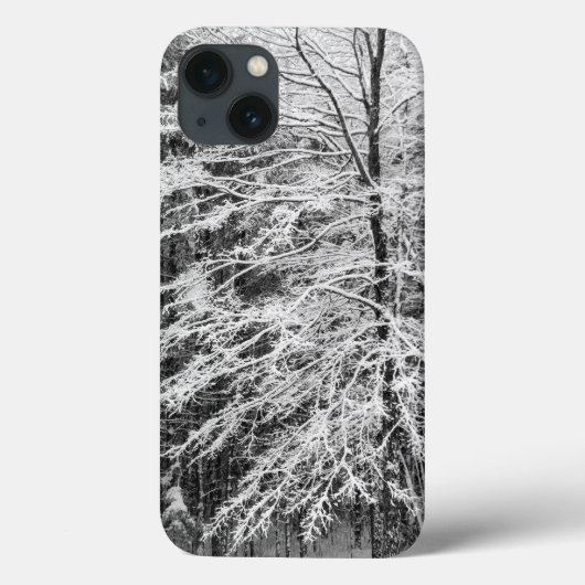 Coques Case-Mate iPhone Érable en contours dans la neige (Verso)