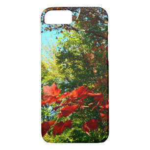 Coque iPhone 8/7 Érable japonais en automne