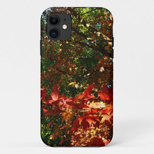 Coques Case-Mate iPhone Érable japonais en automne (Dos)