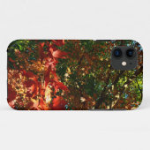 Coques Case-Mate iPhone Érable japonais en automne (Dos (Horizontal))