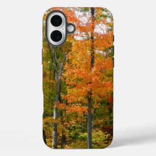 iPhone 16 Plus Case Érables en automne Photographie de la nature