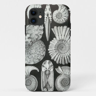 Etui iPhone Case-Mate Ernst Haeckel - Ammonitida
