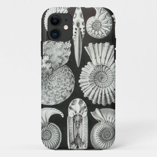 Coques Case-Mate iPhone Ernst Haeckel - Ammonitida (Dos)