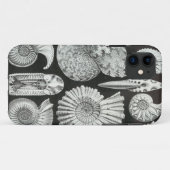 Coques Case-Mate iPhone Ernst Haeckel - Ammonitida (Dos (Horizontal))