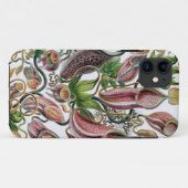 Coques Case-Mate iPhone Ernst Haeckel Kunstformen der Natur Nepenthaceae P (Dos (Horizontal))