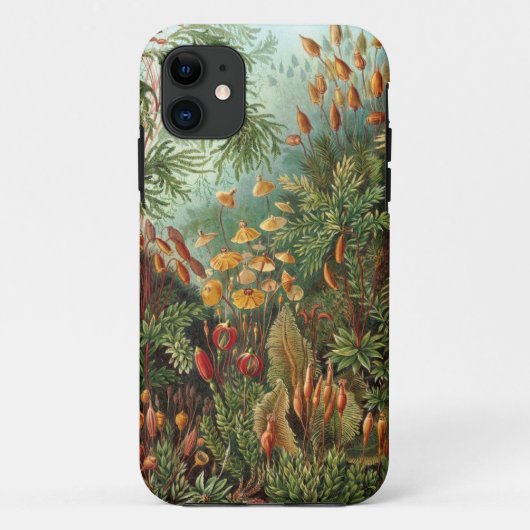 Coques Case-Mate iPhone Ernst Haeckel - Muscinae (Dos)