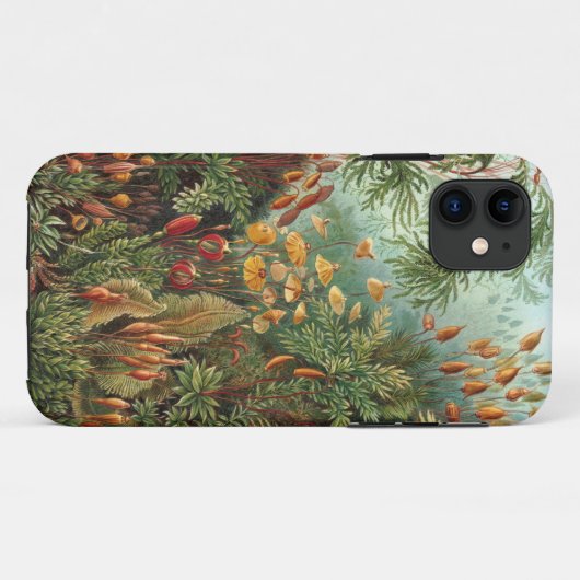 Coques Case-Mate iPhone Ernst Haeckel - Muscinae (Dos (Horizontal))