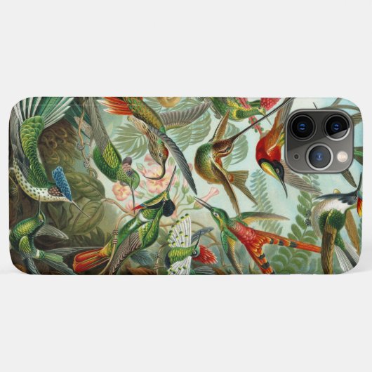 Coques Case-Mate iPhone Ernst Haeckel Superbes Hummingbirds vibrants (Dos (Horizontal))