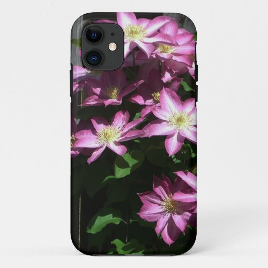 Coques Case-Mate iPhone Escalade Clematis Fleurs de printemps violettes (Dos)