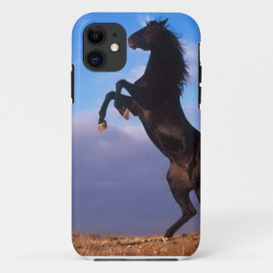 Coque iPhone 11 Étalon noir sauvage élevant le cheval