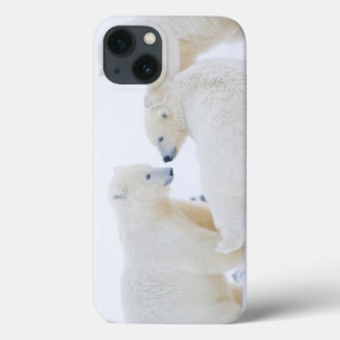 Etui iPhone Case-Mate États-Unis, Alaska, 1002 Plaine côtière de l'Arcti